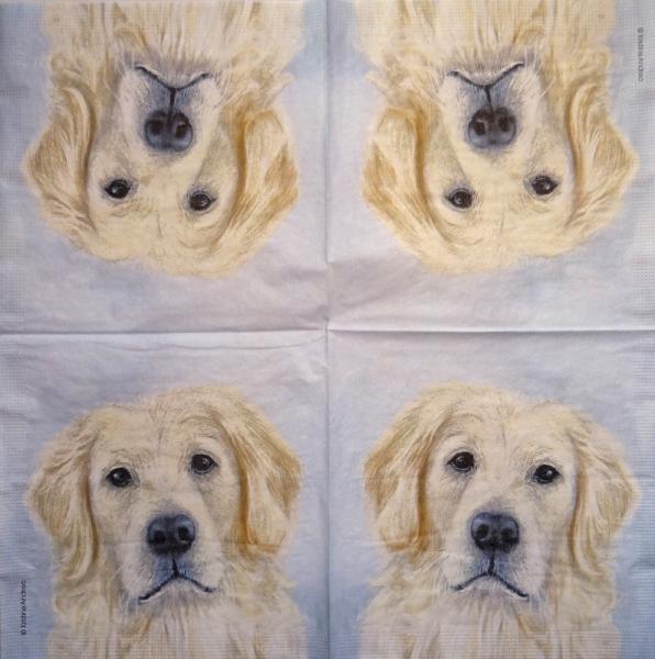 HUN-328 Dogs - 3-ply - ppd - Kristine Andrea